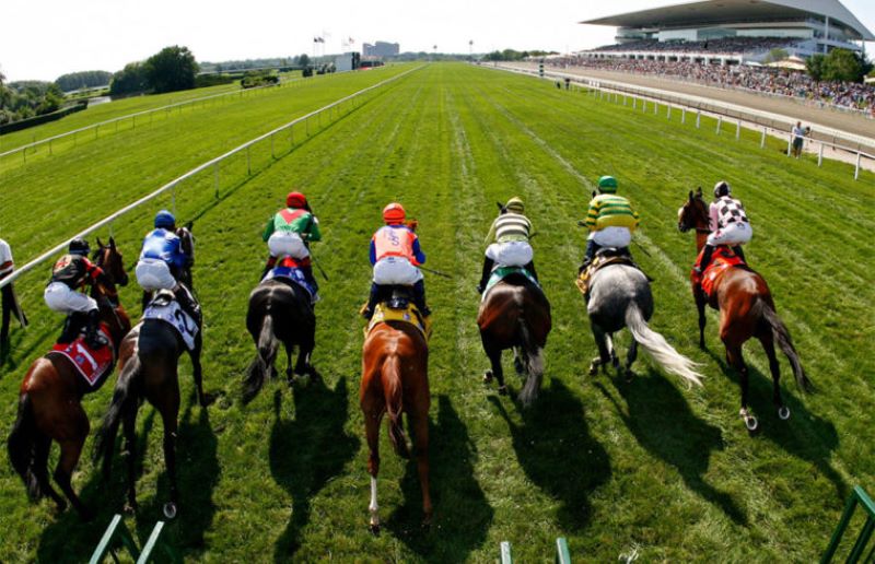 Các hình thức Cá Cược Đua Ngựa phổ biến 